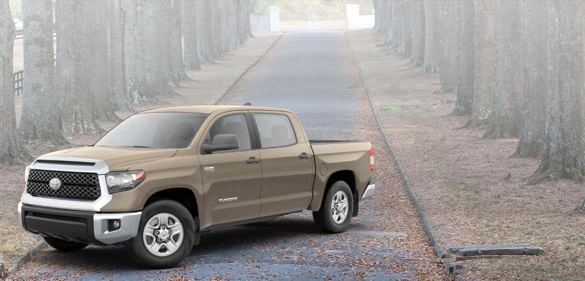 2020 Tundra Banner