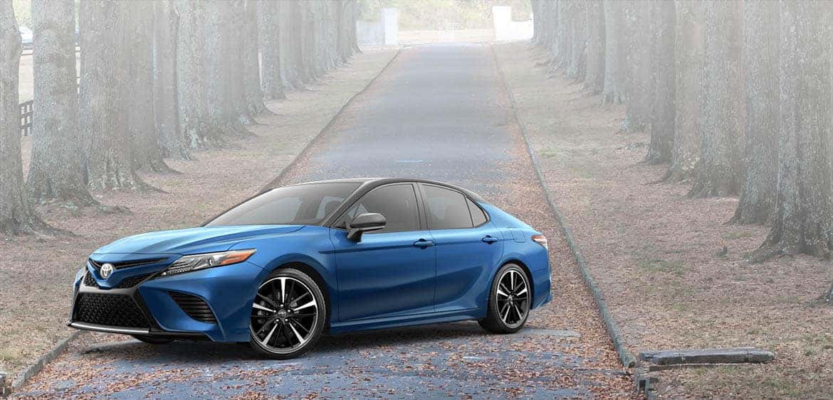 Camry Banner