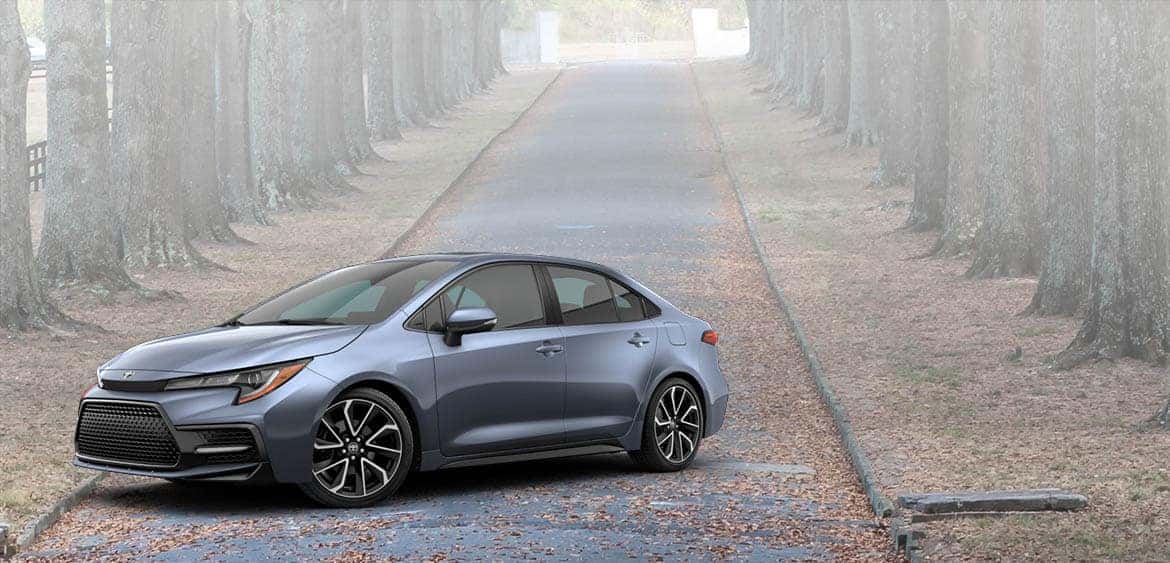 Corolla Banner