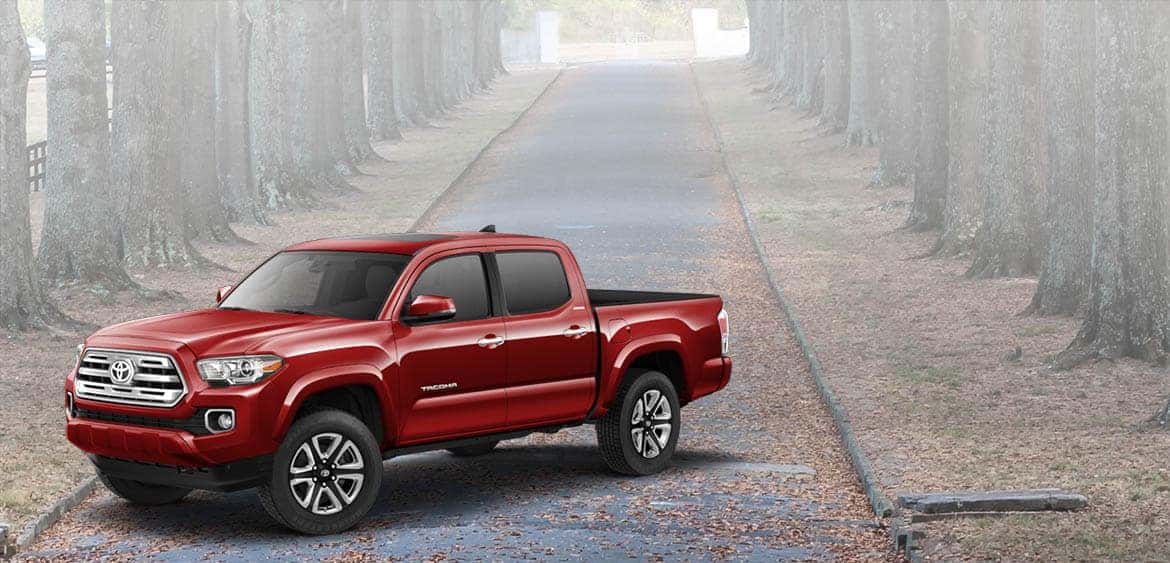 2019 Tacoma Banner