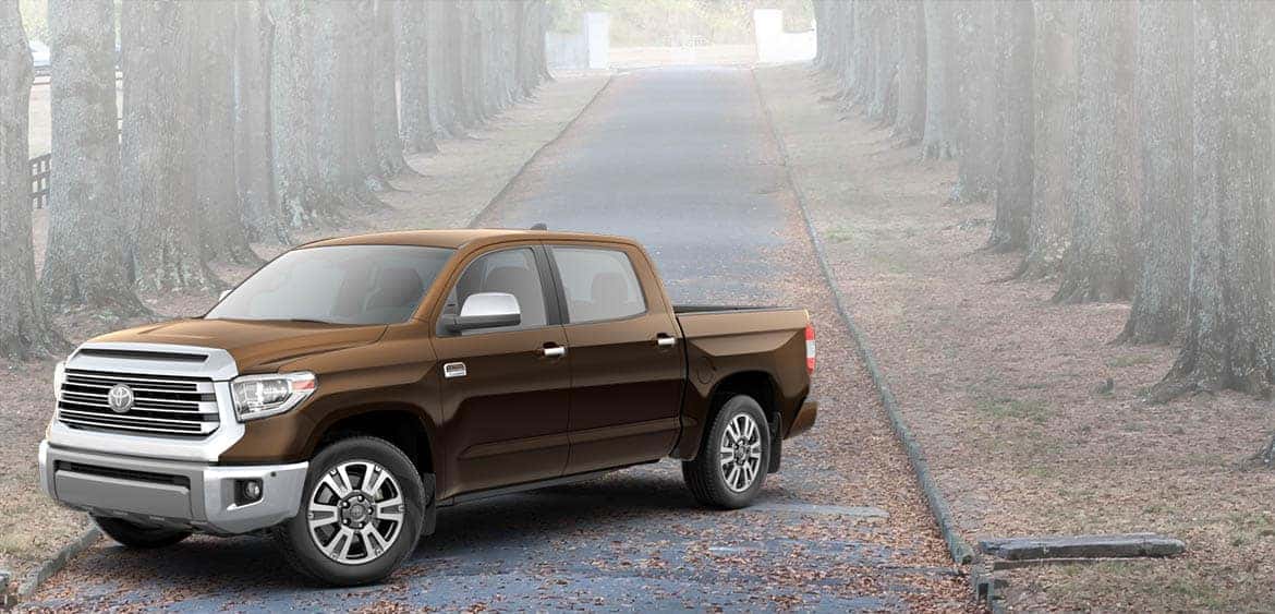 2020 Tundra Banner