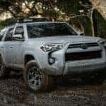 A light grey 2021 Toyota 4Runner is off-roading in the woods near Romeoville, IL.