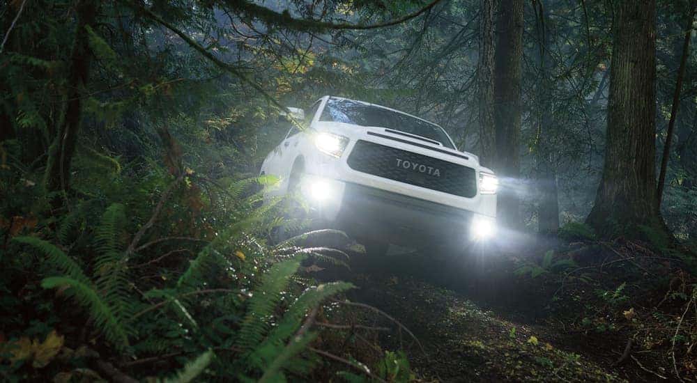 A white 2021 Toyota Tundra is driving through the forest at dusk