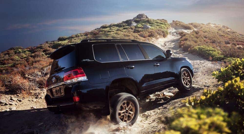 A black 2021 Toyota Land Cruiser is shown from a rear angle driving on a remote trail.