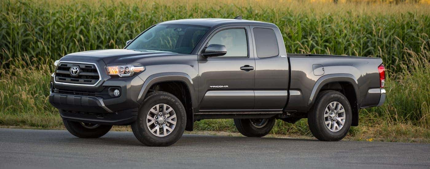 A grey 2017 Toyota Tacoma is shown in front of a corn field.