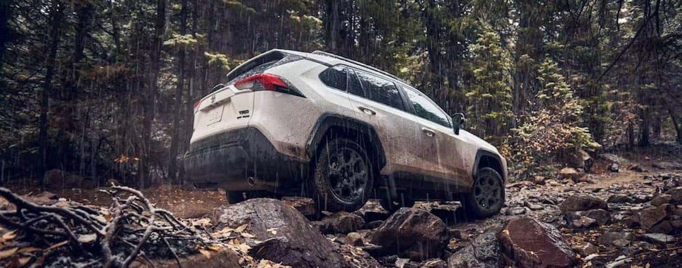 A white 2022 Toyota RAV4 TRD is shown from the rear at an angle.