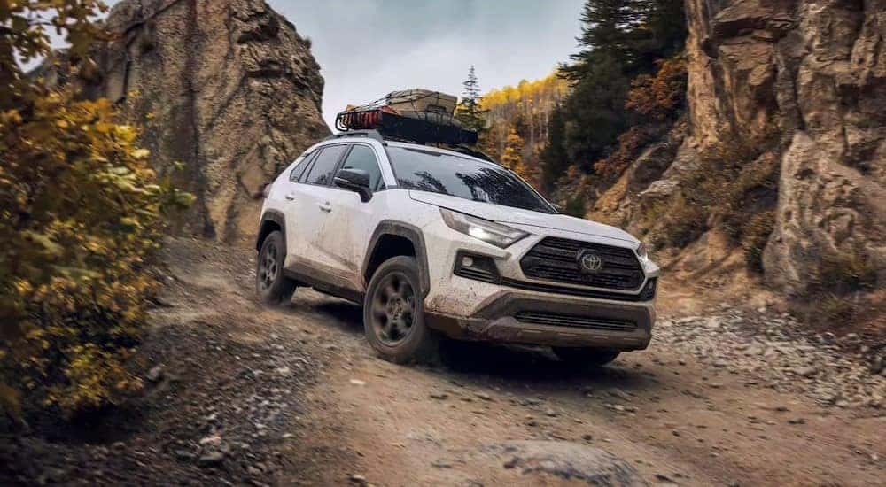 A white Toyota RAV4 TRD Off-Road is shown driving on a dirt path.