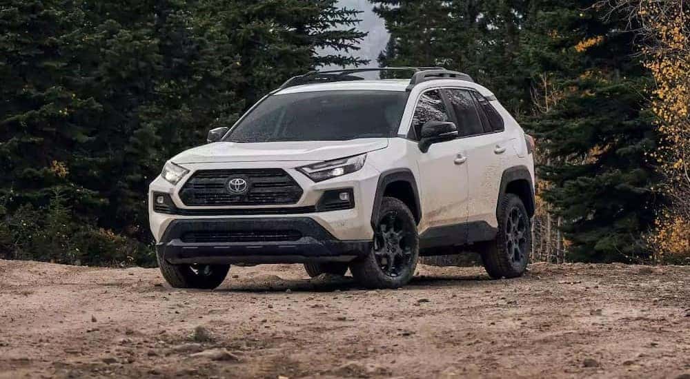 A white 2023 Toyota RAV4 for sale near Joliet, IL is shown parked off-road.