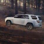 A white 2024 Toyota 4Runner SR5 Premium is shown driving in a forest.
