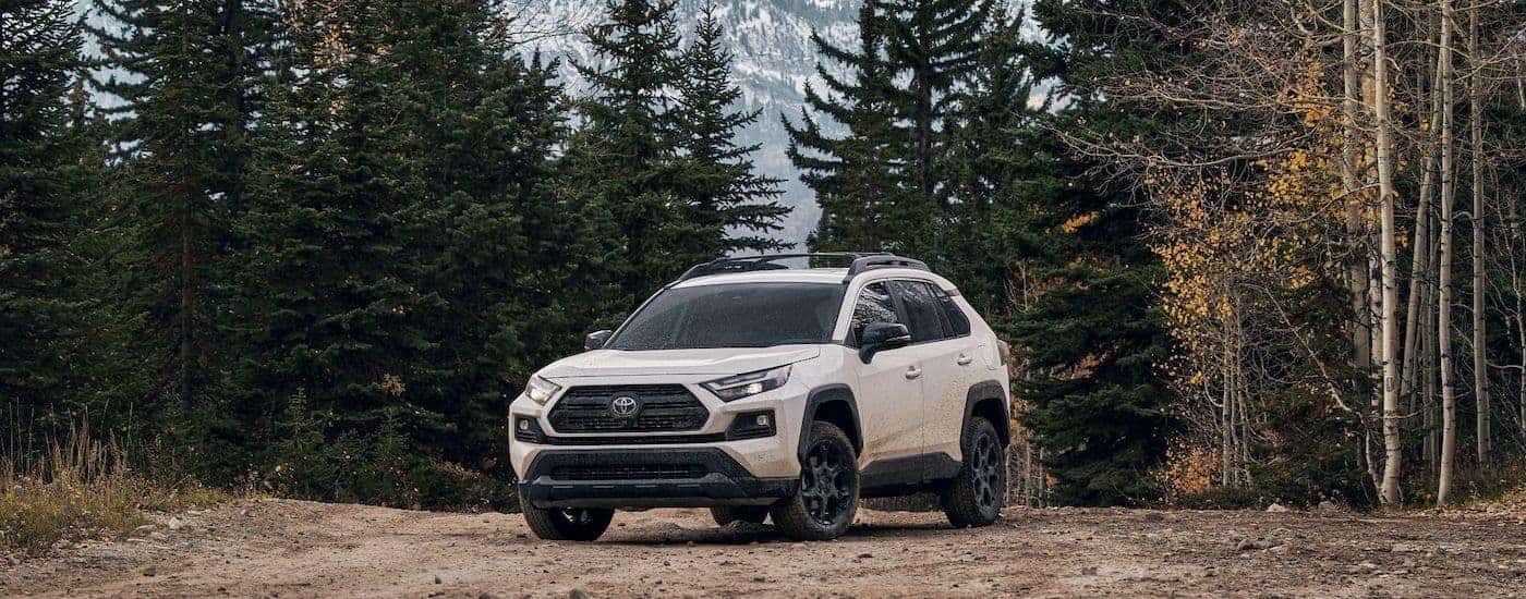 A white 2023 Toyota RAV4 is shown from the from the front at an angle.