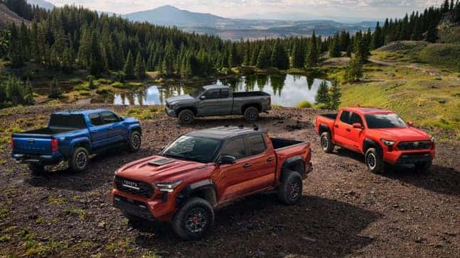 Final Verdict: The 2024 Tacoma Beats the Competition