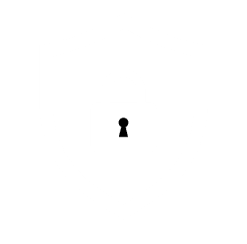 SECURITY