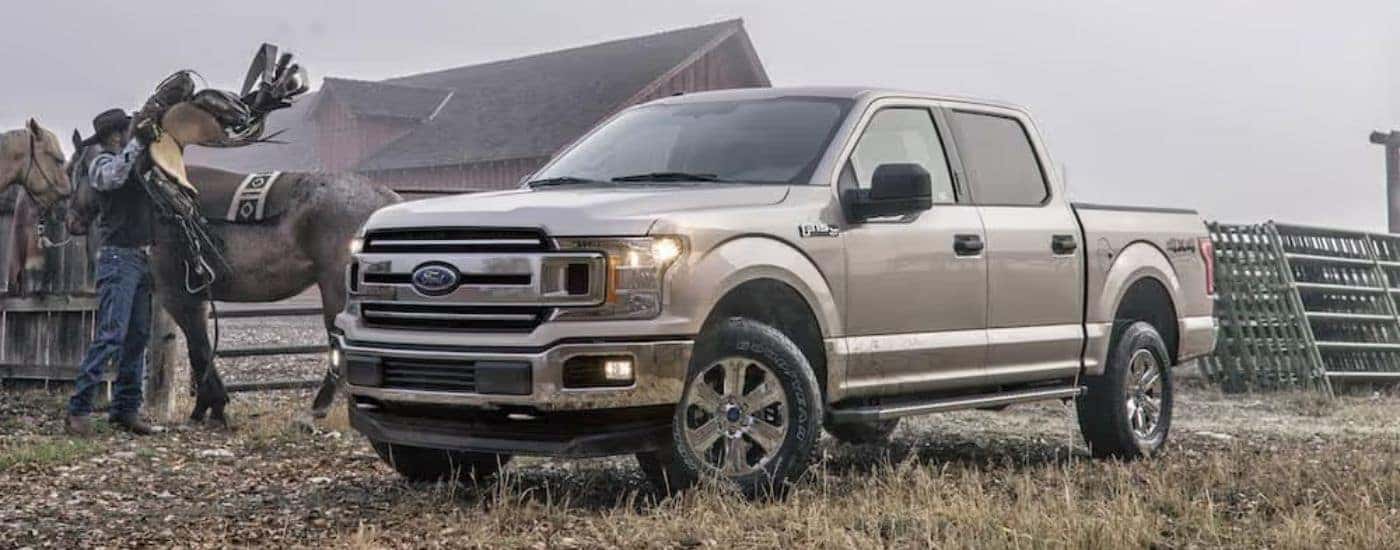 A used silver 2018 Ford F-150 on a quiet ranch on a foggy day.