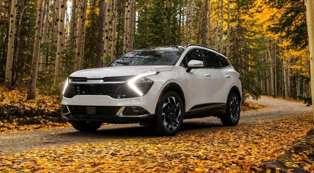 A white 2024 Kia Sportage driving through a forest of fall foliage.