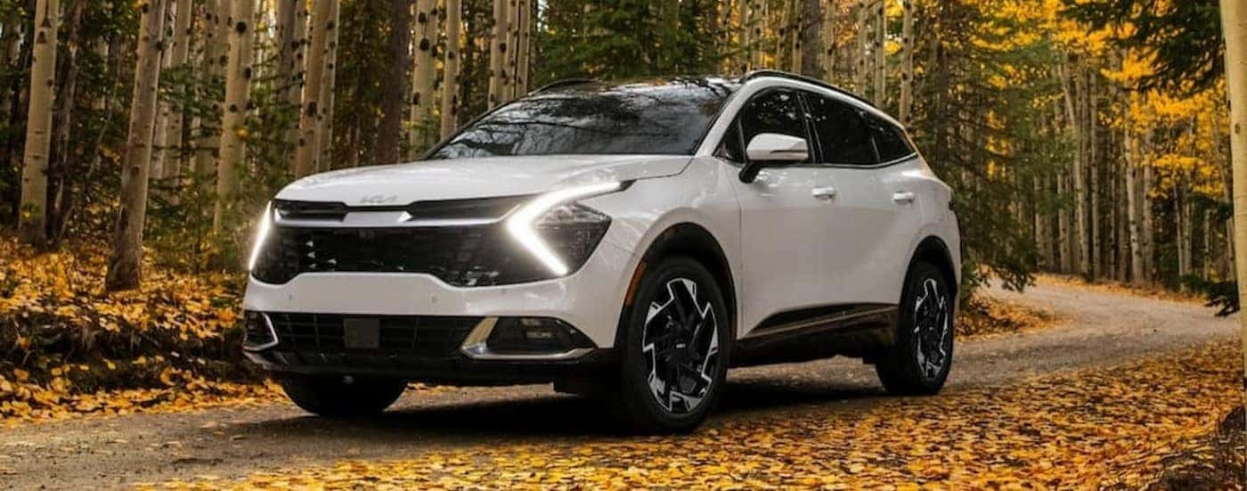 A white 2024 Kia Sportage is shown driving on a dirt road.