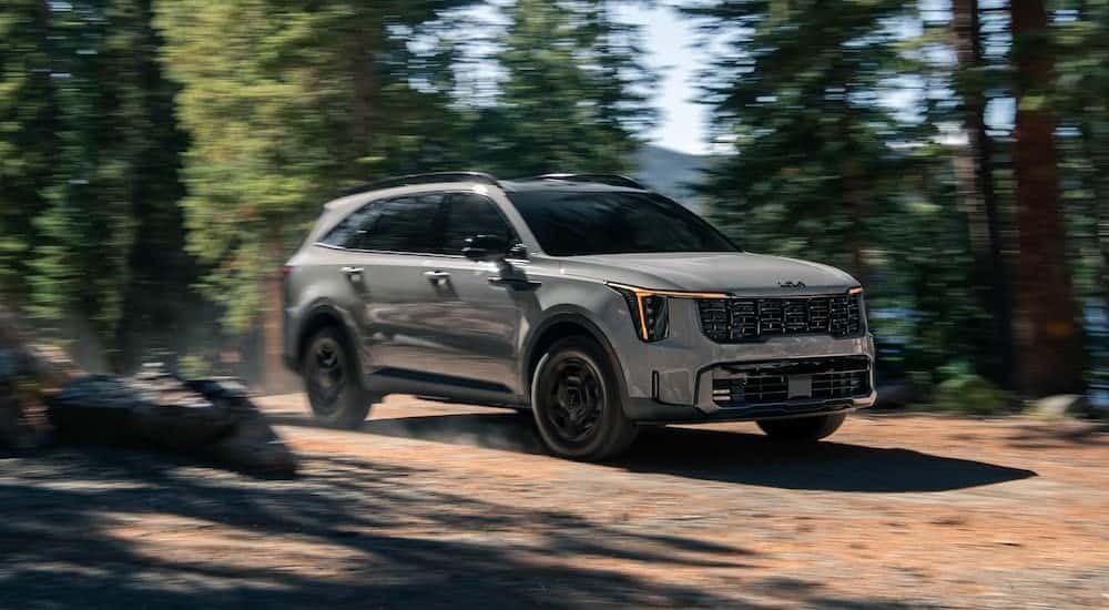 A gray 2025 Kia Sorento for sale near Oak Ridge is shown driving through a forest.