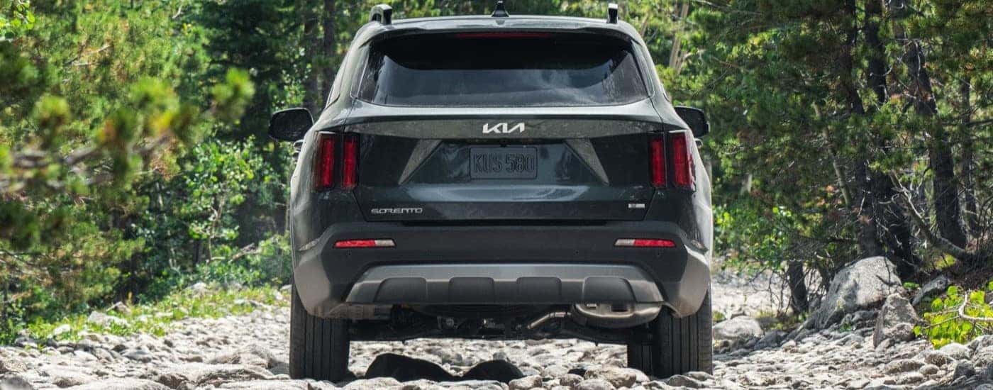 Rear view of a black 2022 Kia Sorento X-Line driving down a dirt road.