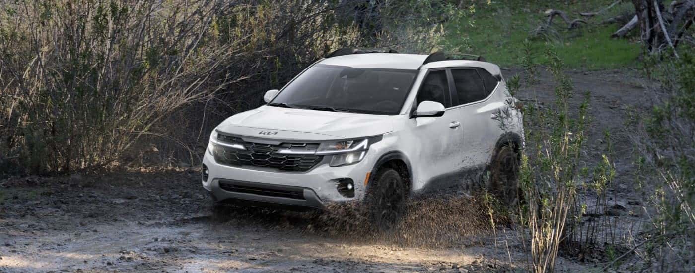 A white 2024 Kia Seltos is shown from the front at an angle after leaving a Kia dealer near Seymour.