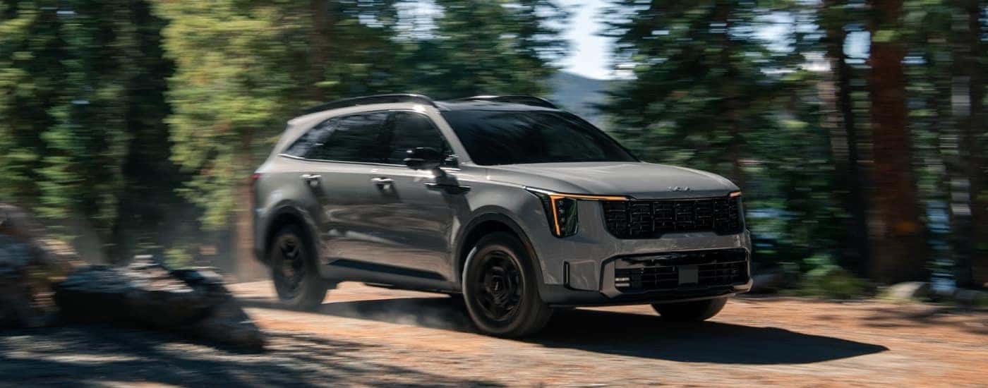 A grey 2024 Kia Sorento is driving on a wooded trail.