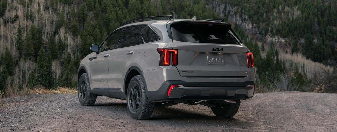 A grey 2025 Kia Sorento from the rear at an angle.