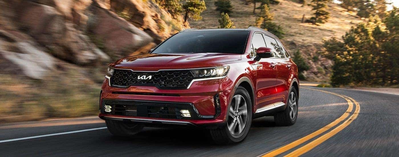 A red 2023 Kia Sorento from the front at an angle.