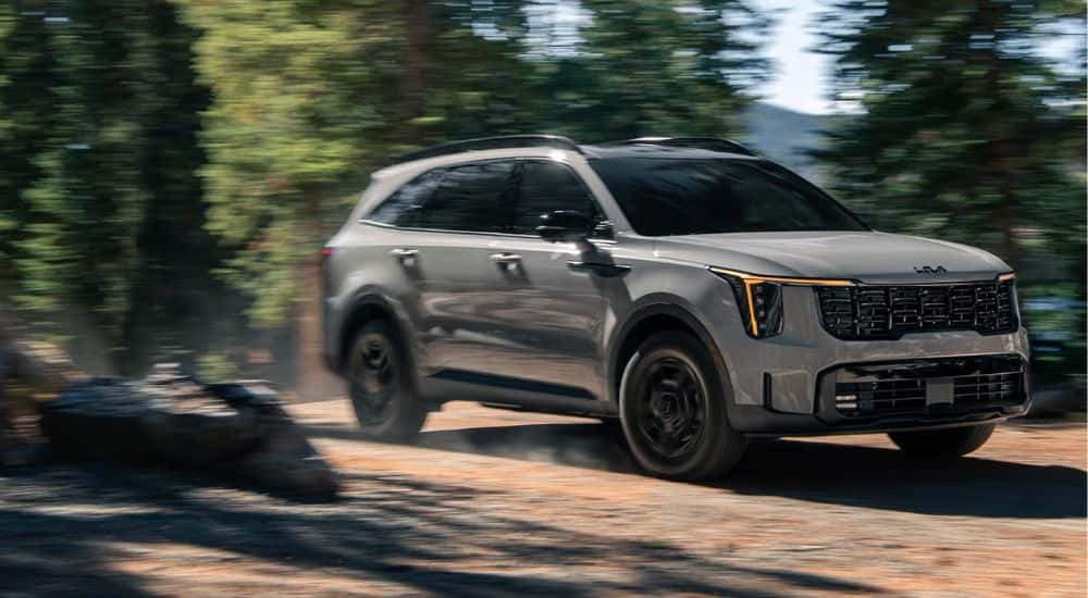 Grey 2026 Kia Sorento driving in the woods