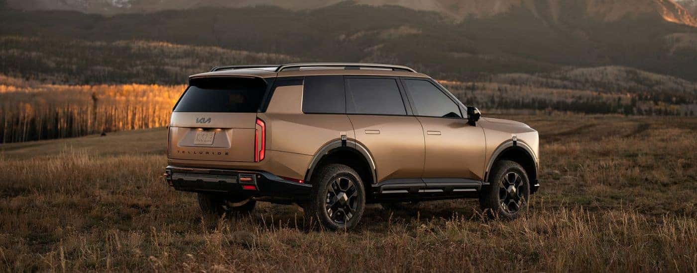 Brown Matte 2027 Kia Telluride Z-Pro SX Prestige with roof rails parked in a field.