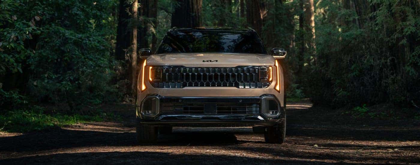 Front grille view of a brown 2027 Kia Seltos parked in a forest.