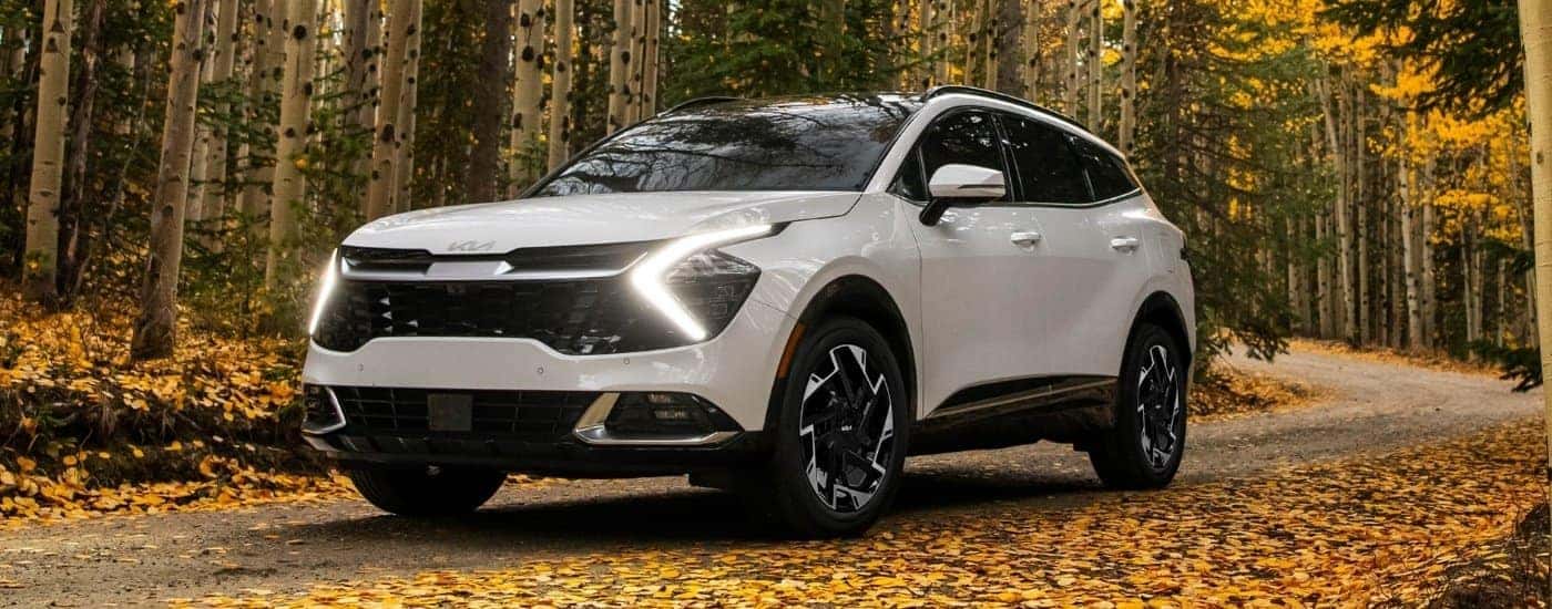 A white 2023 Kia Sportage driving a forest-lined road.