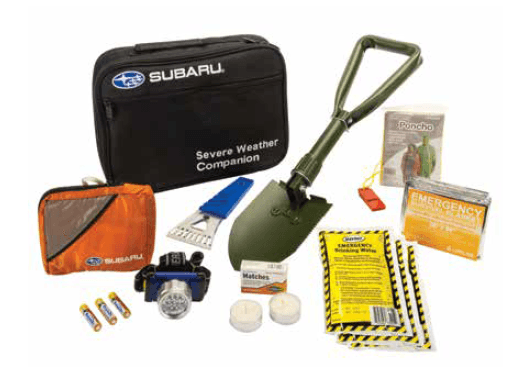 Severe Weather Companion