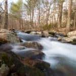 blurred stream in woods with bare trees