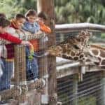 Kids At The Zoo