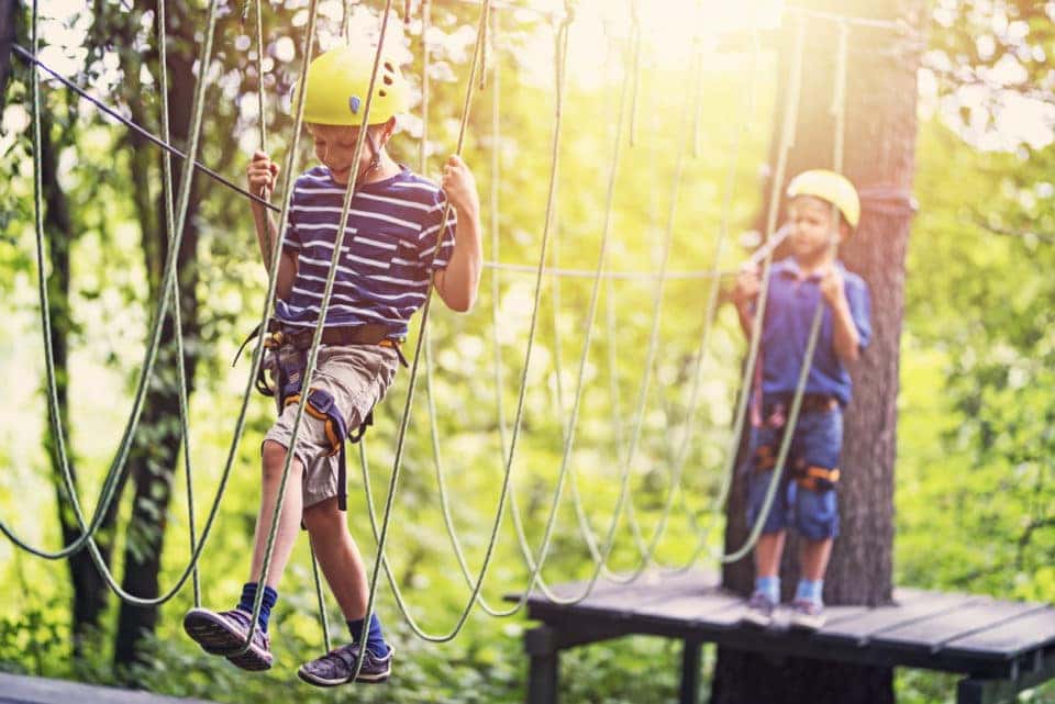 Go Ape Treetop Adventure Course Safford Cjdrf Of Springfield