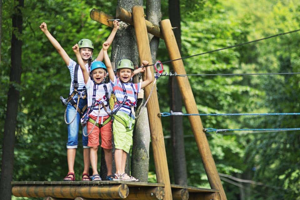 Go Ape Treetop Adventure Safford Cjdrf Of Springfield