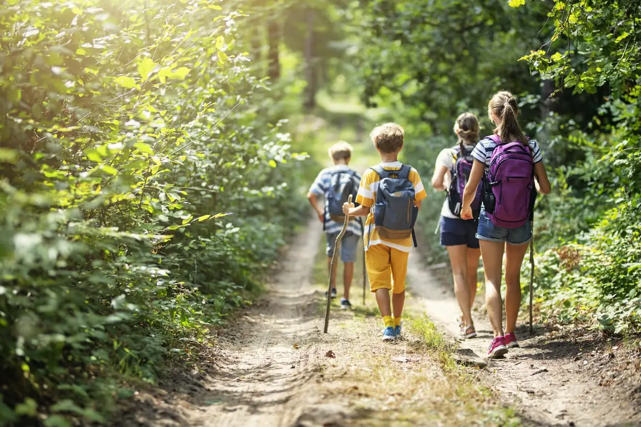 Get Outdoors At Huntley Meadow Park | Safford CJDRF of Springfield