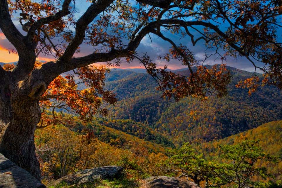 Virginia Towns You Must Visit In The Fall Safford CJDRF of Springfield