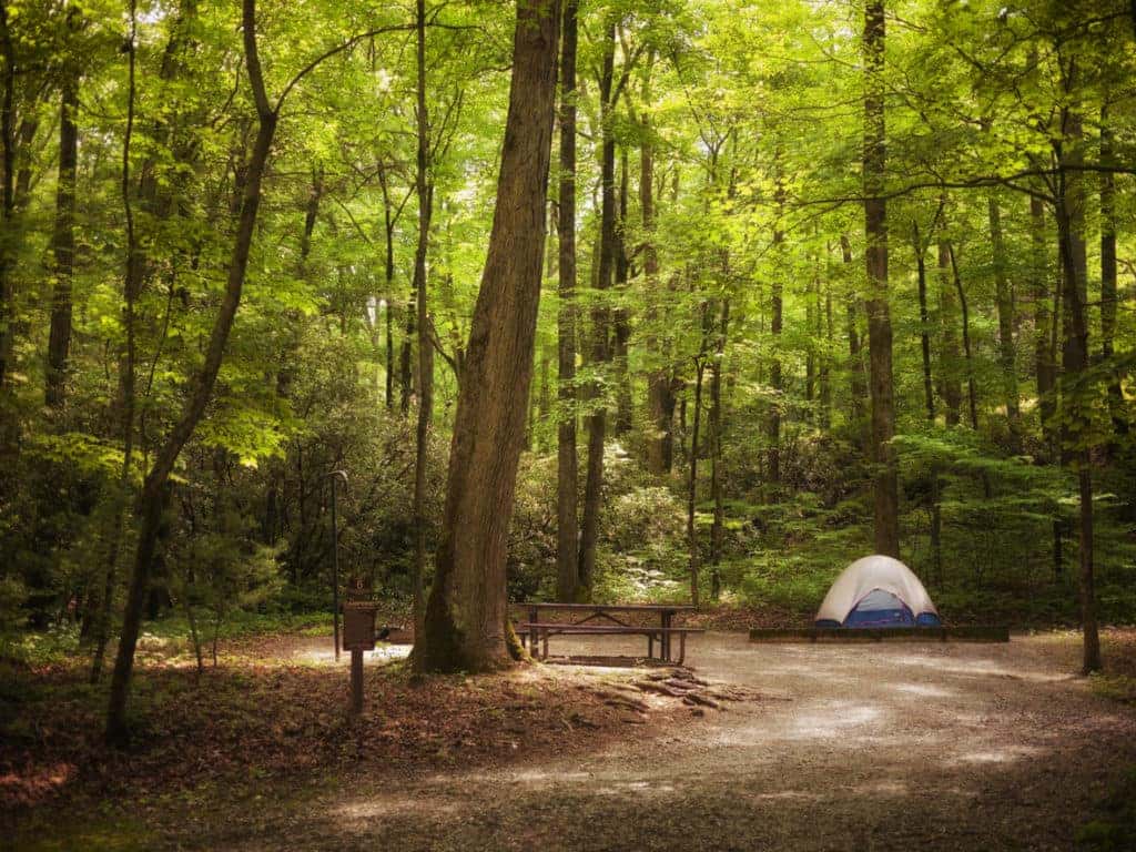 Tips For Camping This Spring | Safford CJDR of Warrenton