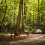 Tent setup on a camping ground surrounded by lush woods.