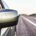 The outside rear view mirror with dozens of splattered insects.