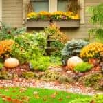 Fall garden with yellow and orange flowers and pumpkins