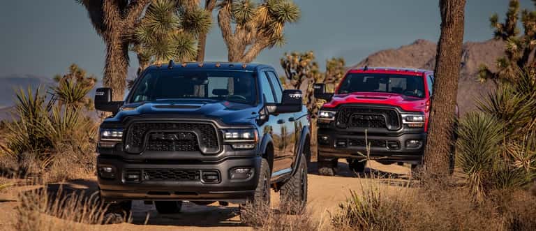 RAM2500