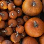 Multiple Pumpkins Top Down
