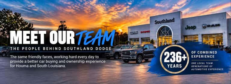 MEET THE TEAM 
