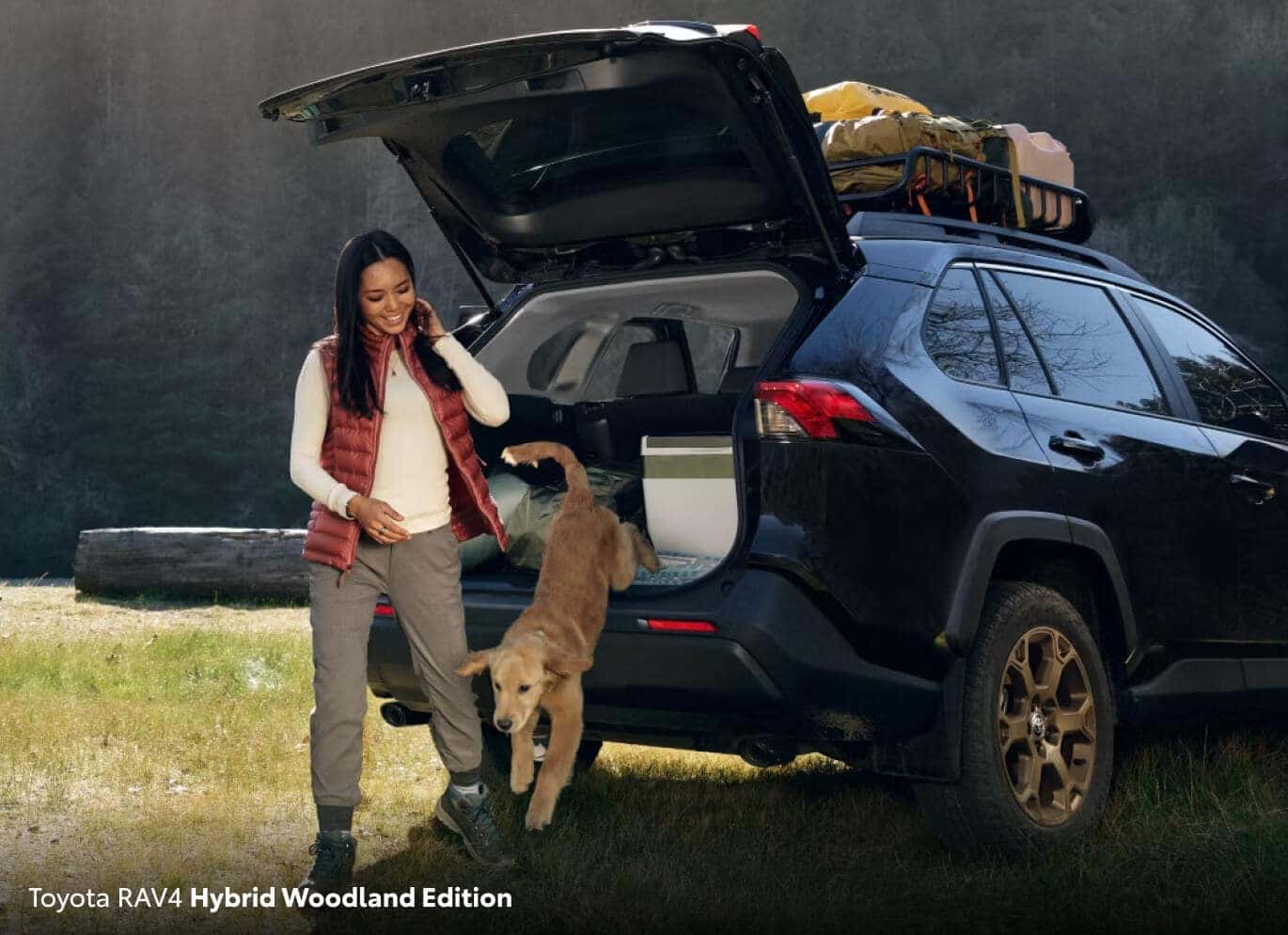 RAV4 Hybrid vs Plug-In Hybrid (formerly Prime) Toyota RAV4 Prime vs. Hybrid