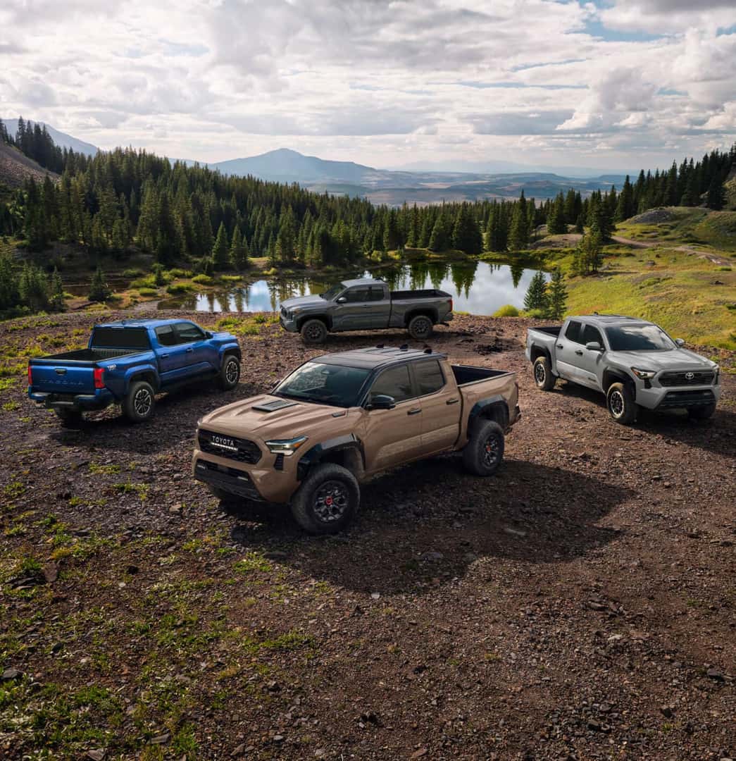 2025 Chevy Colorado Vs. 2025 Toyota Tacoma Comparison