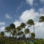 High winds tips from Toyota of Clermont