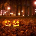 Clermont fall activities