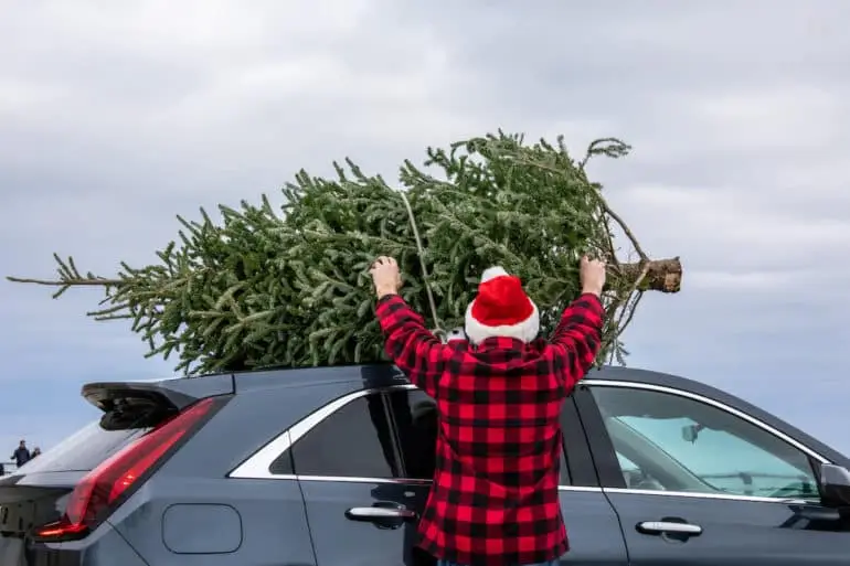 Toyota Of Clermont Explains How To Transport A Christmas Tree | Toyota ...