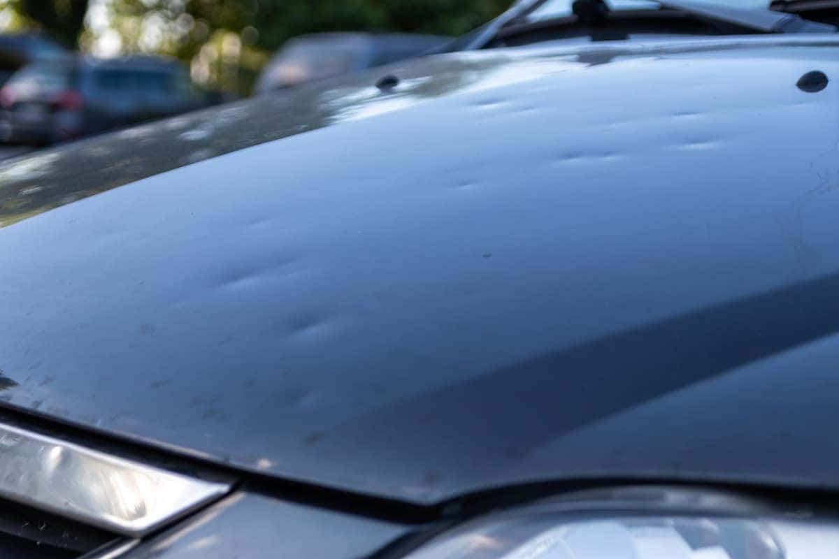 Hail Sale' in the Works After Storm Damages Cars at Dealerships