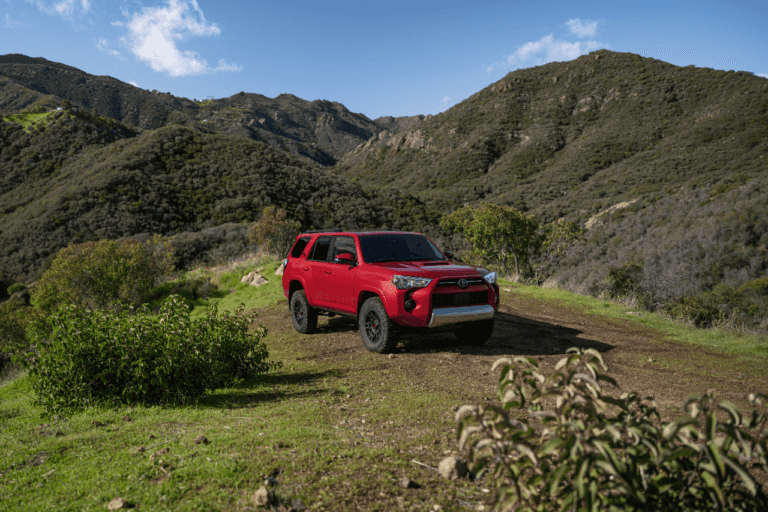 Which Toyota Cars Last the Longest? Toyota of Clermont Experts Answer. Toyota of Clermont